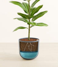 Load image into Gallery viewer, Iron Gray