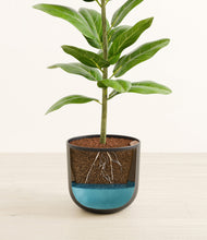 Load image into Gallery viewer, Stone Black