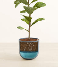 Load image into Gallery viewer, Iron Gray