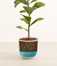 Load image into Gallery viewer, Natural Bamboo