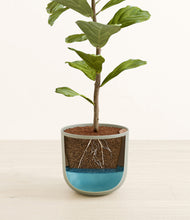 Load image into Gallery viewer, Sage Green