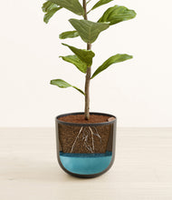 Load image into Gallery viewer, Stone Black