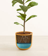 Load image into Gallery viewer, Sunset Orange