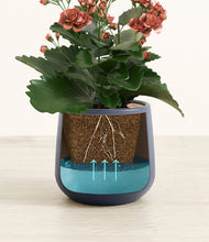 Load image into Gallery viewer, Deep Navy