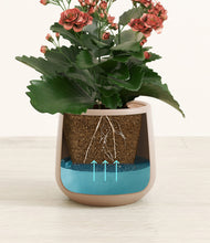 Load image into Gallery viewer, Eternal Gray