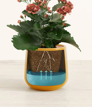 Load image into Gallery viewer, Mustard