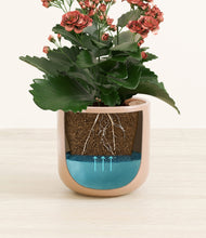 Load image into Gallery viewer, Glossy Pink