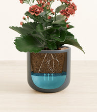 Load image into Gallery viewer, Iron Gray