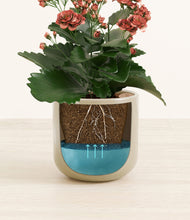 Load image into Gallery viewer, Sage Green