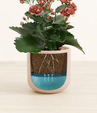 Load image into Gallery viewer, Sandy Pink