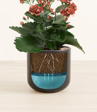 Load image into Gallery viewer, Stone Black