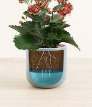 Load image into Gallery viewer, Misty Blue