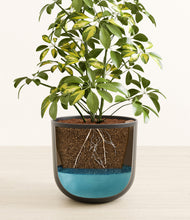 Load image into Gallery viewer, Stone Black