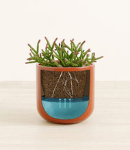 Load image into Gallery viewer, Glossy Red stand:all