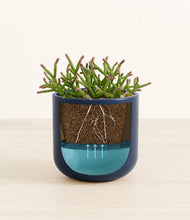 Load image into Gallery viewer, Twilight Blue stand:all