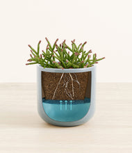 Load image into Gallery viewer, Misty Blue stand:all