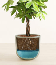 Load image into Gallery viewer, Sage Green