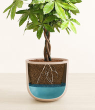 Load image into Gallery viewer, Sandy Pink