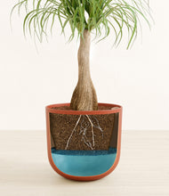 Load image into Gallery viewer, Earth Red