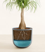 Load image into Gallery viewer, Iron Gray