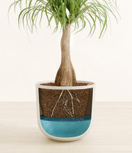 Load image into Gallery viewer, Natural Bamboo