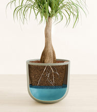 Load image into Gallery viewer, Sage Green