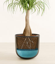 Load image into Gallery viewer, Stone Black