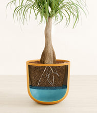 Load image into Gallery viewer, Sunset Orange