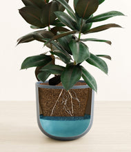 Load image into Gallery viewer, Iron Gray