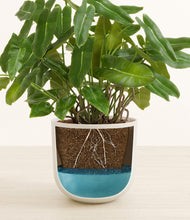 Load image into Gallery viewer, Natural Bamboo