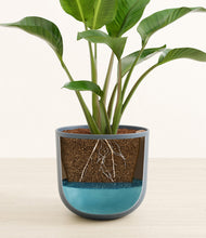 Load image into Gallery viewer, Iron Gray