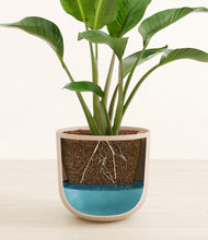 Load image into Gallery viewer, Sandy Pink