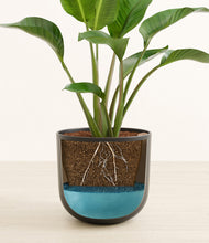 Load image into Gallery viewer, Stone Black