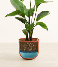 Load image into Gallery viewer, Earth Red