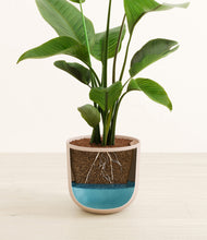 Load image into Gallery viewer, Sandy Pink