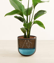 Load image into Gallery viewer, Stone Black