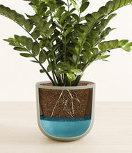 Load image into Gallery viewer, Sage Green