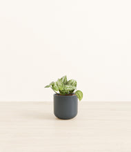 Load image into Gallery viewer, Iron Gray*****Profile