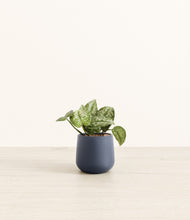 Load image into Gallery viewer, Deep Navy*****Profile