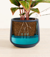 Load image into Gallery viewer, Deep Navy