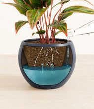 Load image into Gallery viewer, Deep Navy