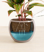 Load image into Gallery viewer, Winter Clouds