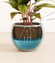 Load image into Gallery viewer, Deep Ocean