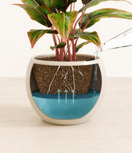 Load image into Gallery viewer, Shiny EggWhite