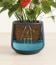 Load image into Gallery viewer, Deep Navy