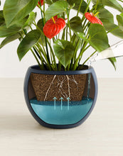 Load image into Gallery viewer, Deep Navy