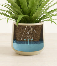 Load image into Gallery viewer, Almond Green stand:all