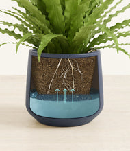 Load image into Gallery viewer, Deep Navy stand:all