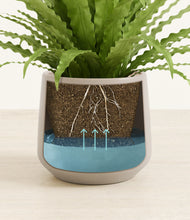 Load image into Gallery viewer, Eternal Gray stand:all