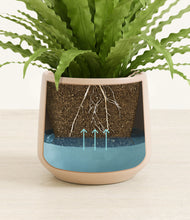 Load image into Gallery viewer, Gentle Pink stand:all